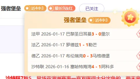 普拉斯加盟霍芬海姆，转会金1100-1200万欧可额外追加